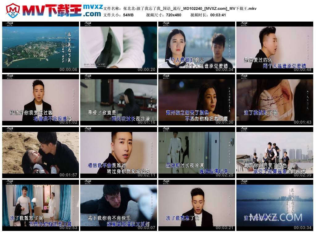张北北-放了我忘了我_国语_流行_MD102240
